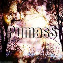 pre_1462529886__pumassssss.png