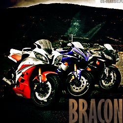 pre_1463928037__bracon.png