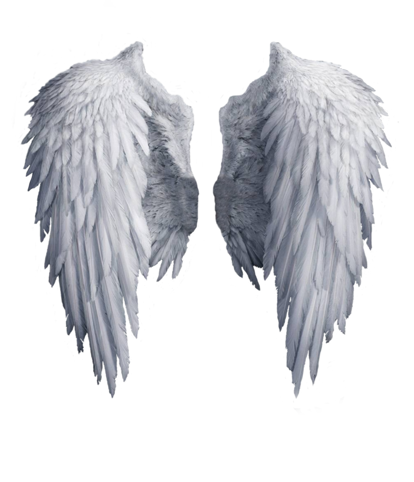 pre_1481478749__angel_wings_stock_png_by_shadow_of_nemo-d7j2t68.png