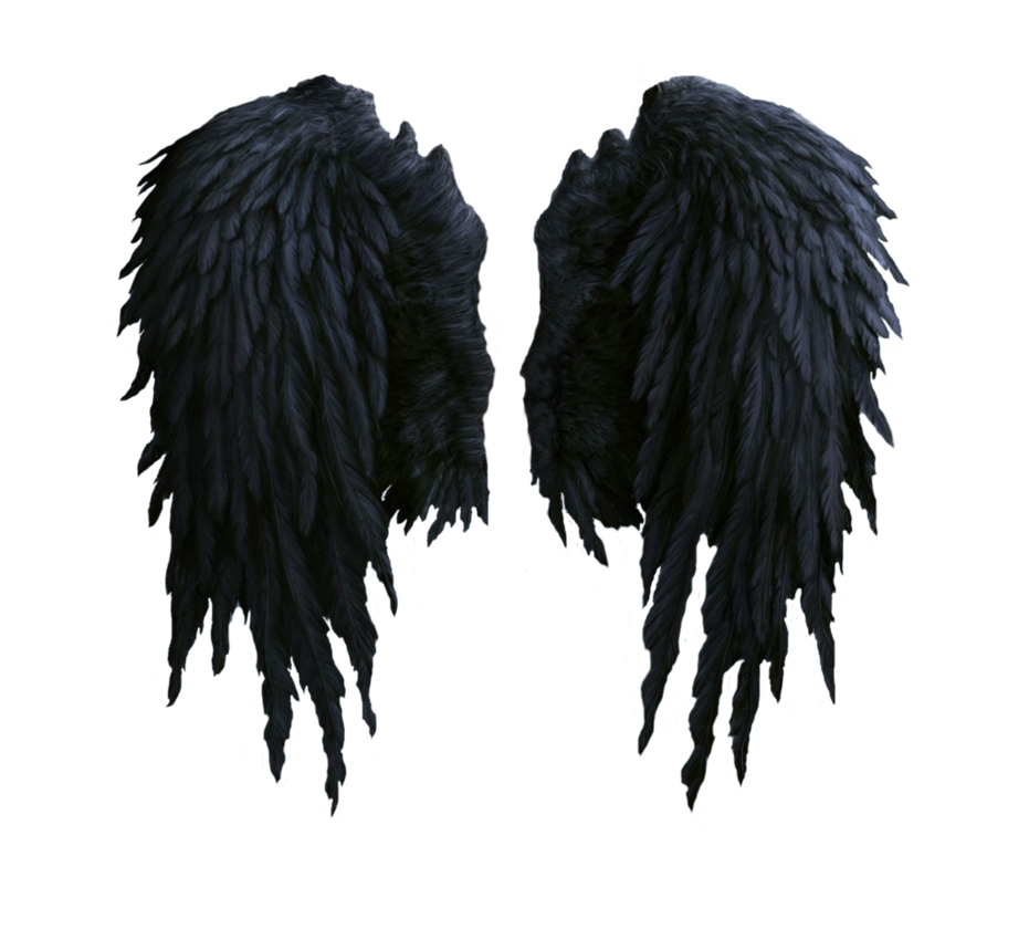 pre_1481480340__black_angel_wings_stock_png_by_shadow_of_nemo-d7j7d1d.png