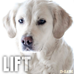 lift.png.5a8c3d39d5cc60e33bafc2c80fc0d684.png