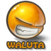 waluta